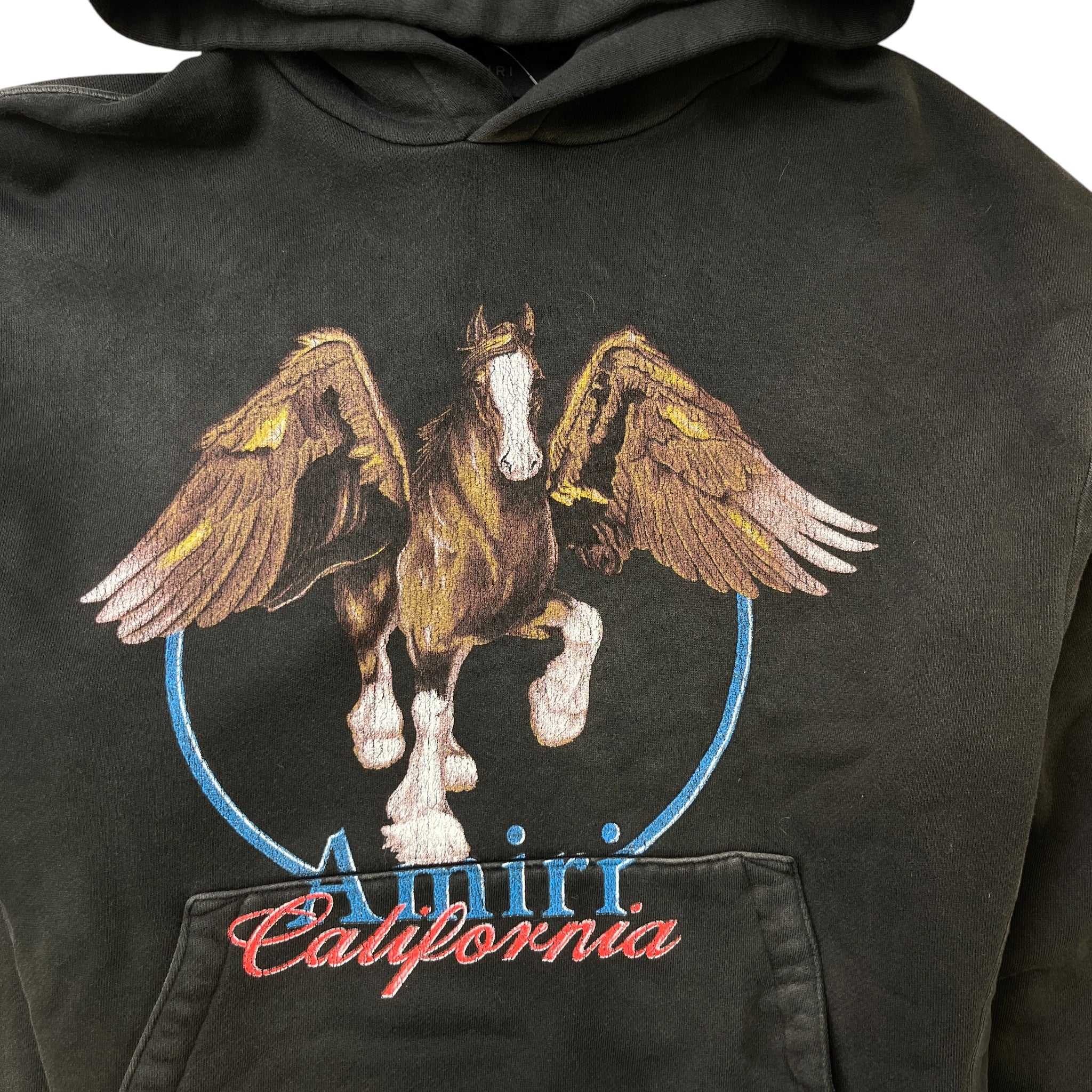 Men's Vintage Wash Pegasus Hoodie Black Size S - Image 5