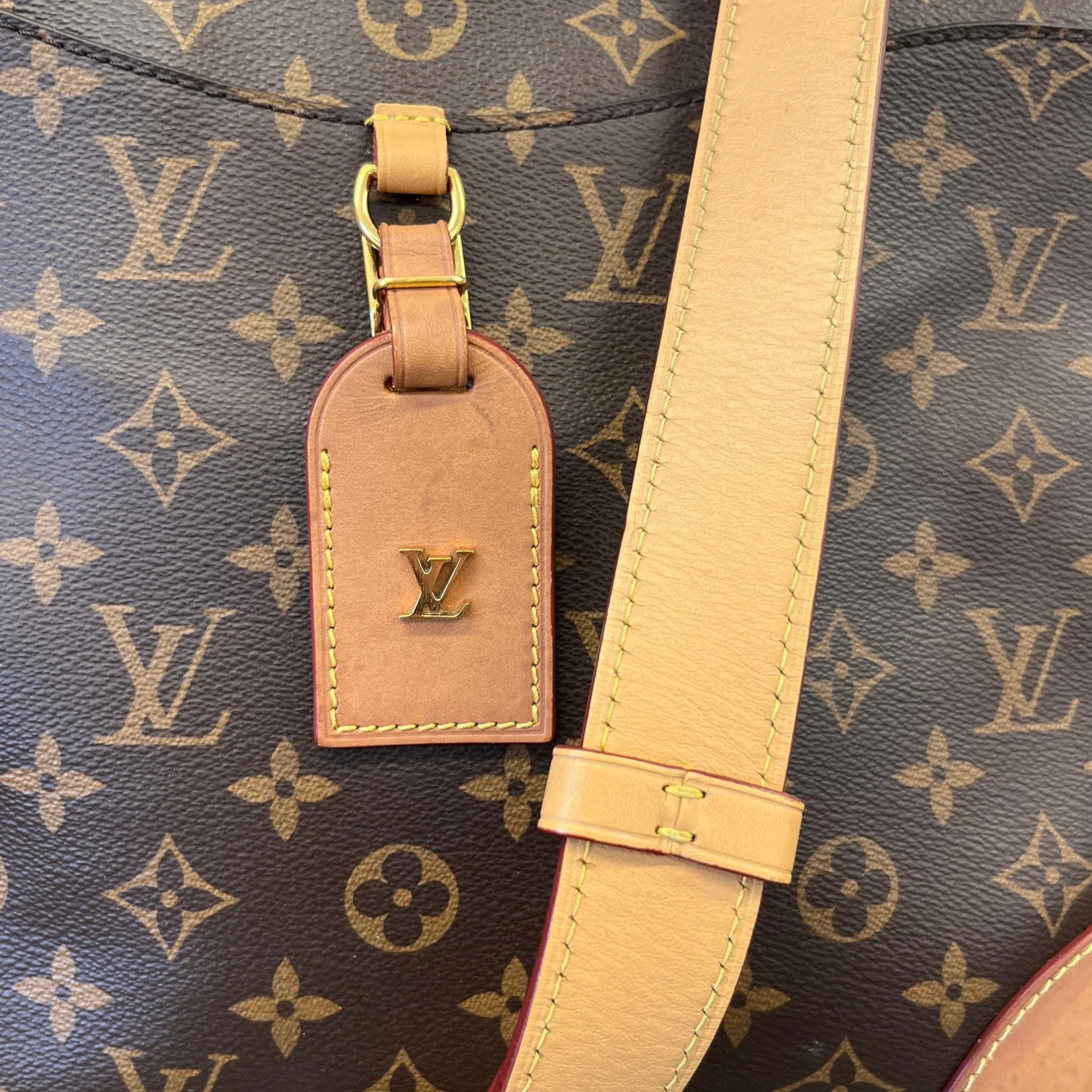 Women's Monogram Odeon Mm Bag Brown - Image 11