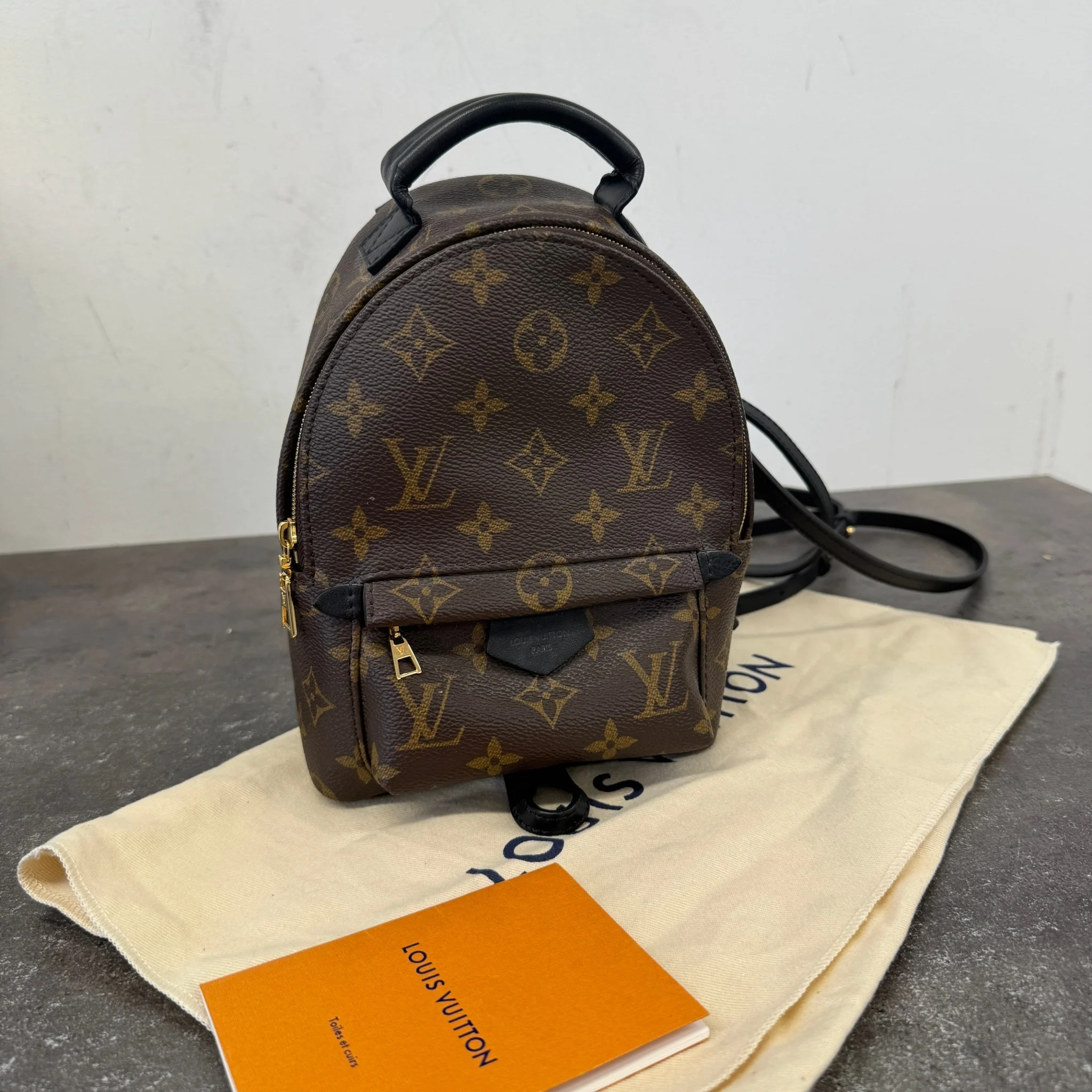 Women's Monogram Palm Springs Mini Backpack Brown - Image 13