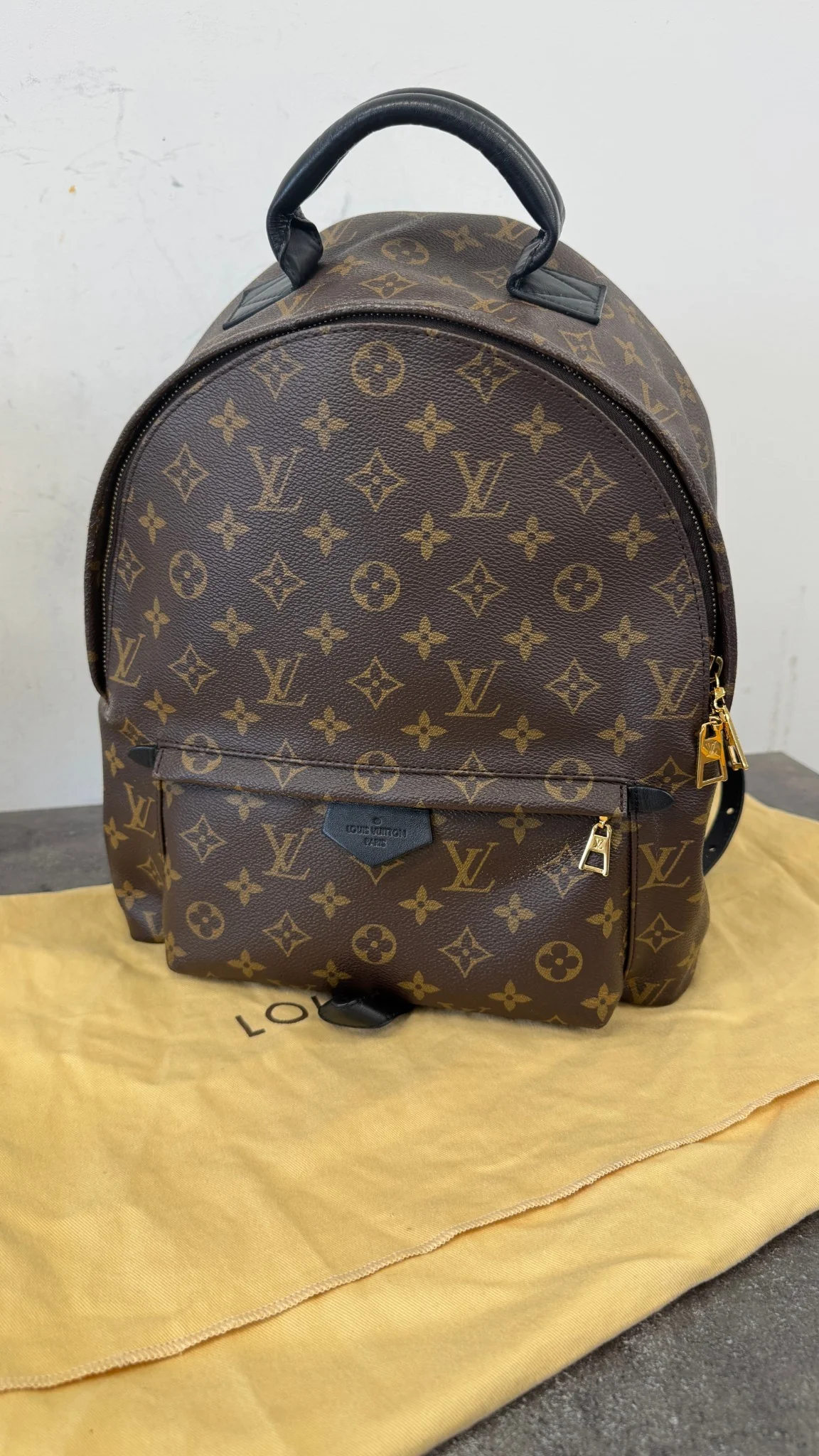 Women's Monogram Palm Springs Mm Backpack Brown - Image 13
