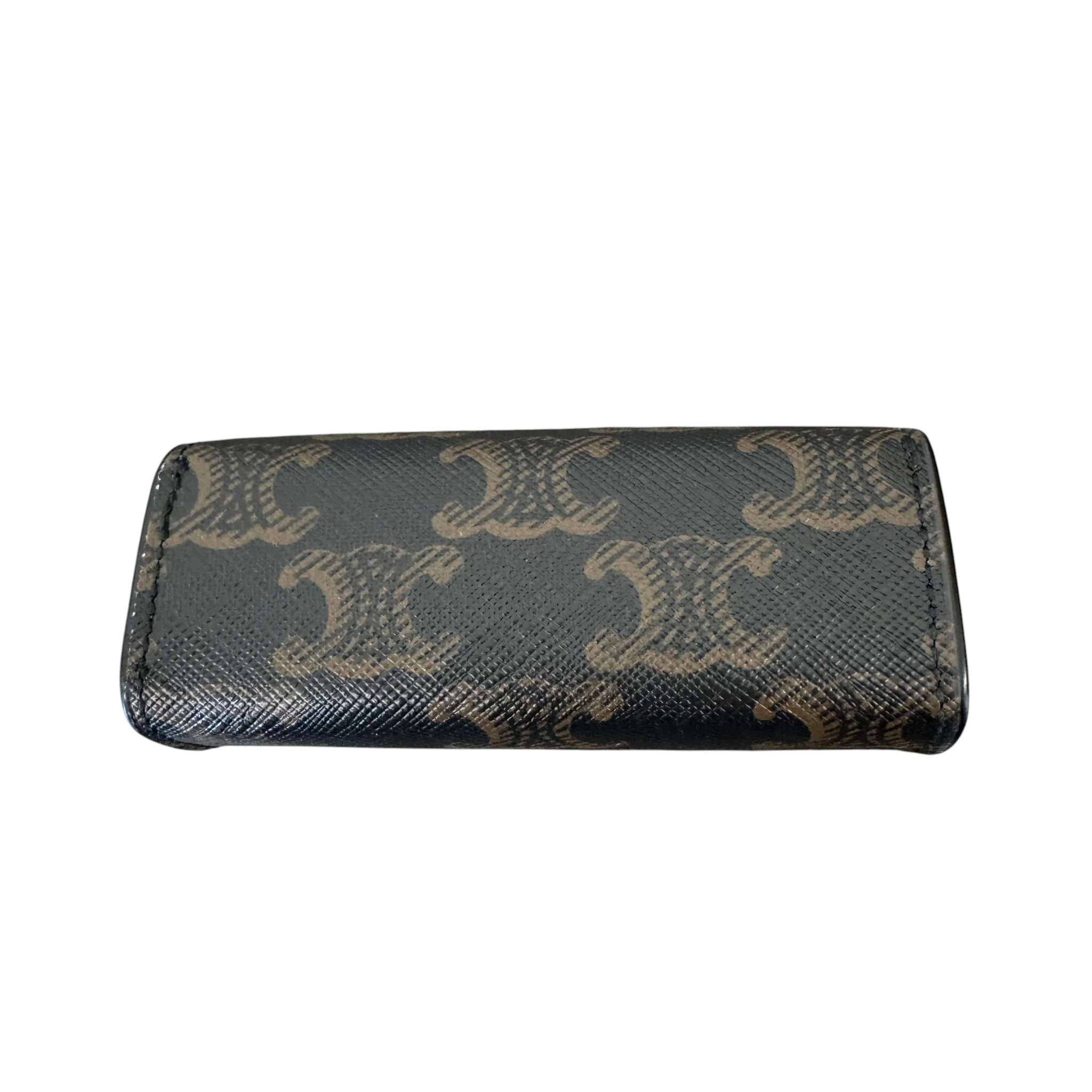 Women's Triomphe Canvas Ring Case Watch Case Brown